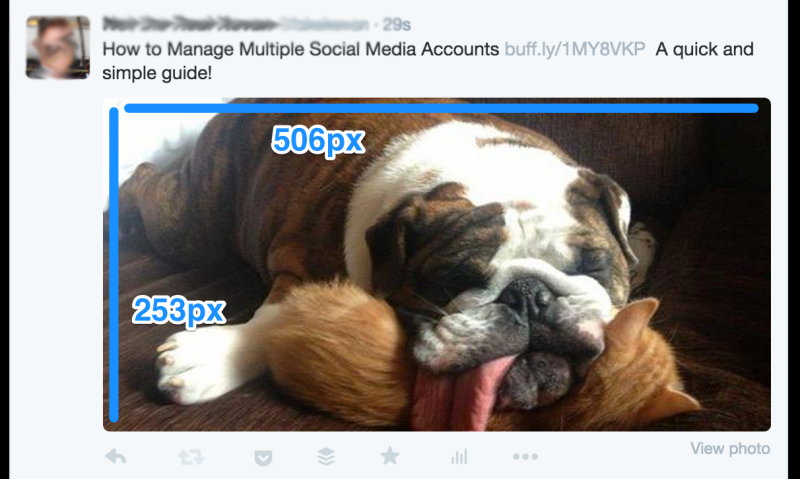 twitter landscape1 800x479